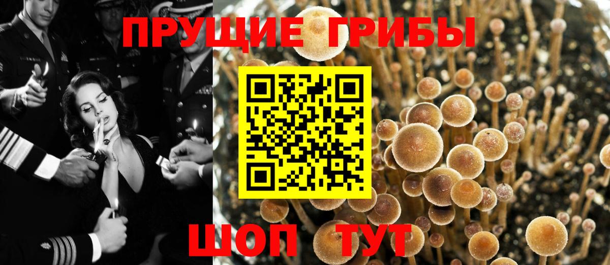магазин  наркотиков  Галлюциногенные грибы MAGIC MUSHROOMS  Вход с VPN  Томск 
